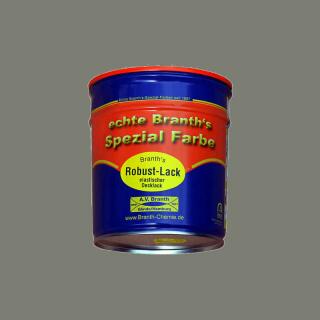 Pintura robusta de Branth (secado rápido) bote 0,75 l gris hormigón RAL 7023